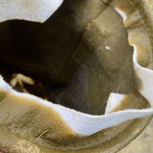 IMG_5469