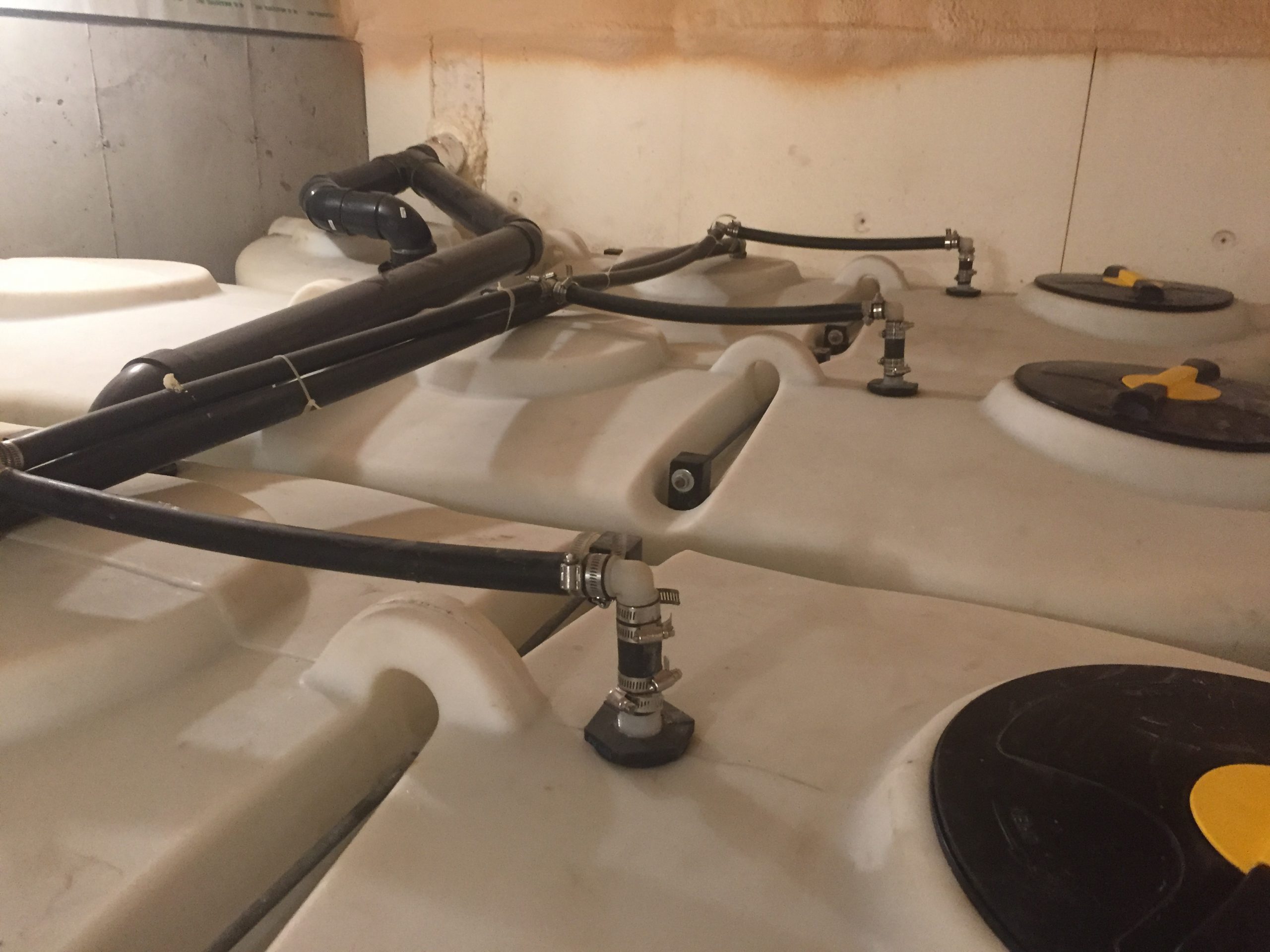 Rain Water Recovery