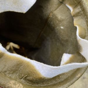 IMG_5469